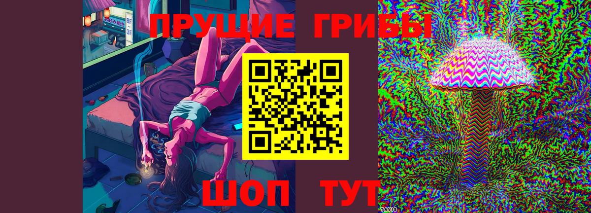 где купить наркоту  Псилоцибиновые грибы GOLDEN TEACHER  Вход с VPN  Котельники 